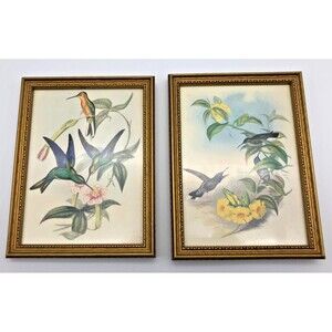 VINTAGE John Gould Framed Lithograph Set of 2 Hummingbirds Birds Flowers